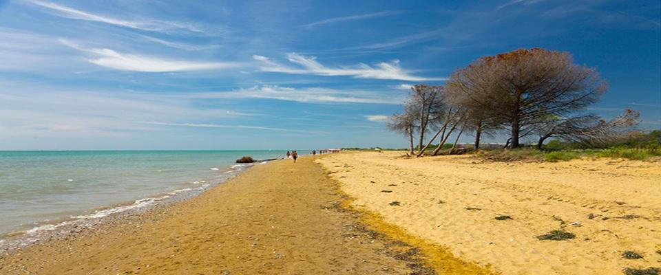 Augusta Apartment Bibione Zewnętrze zdjęcie